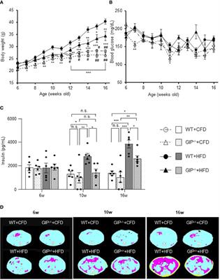 Noninvasive Evaluation of GIP Effects on β-Cell Mass Under High-Fat Diet